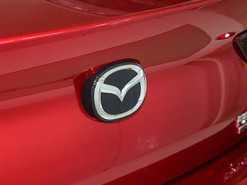 2023�� 2.0L �Զ����Ű�