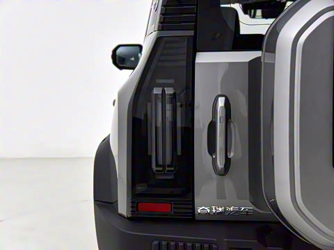 2024�� C-DM 206KM ����ɽҰ��