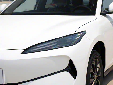 2025�� 520�ǻݰ�