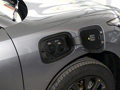 2025�� 520�ǻݰ�