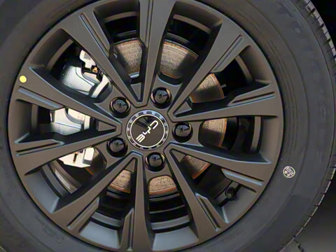 2025�� 520�ǻݰ�