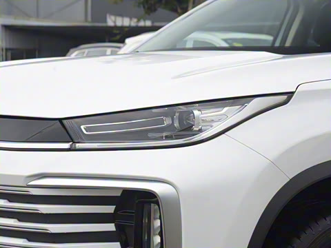 2025�� 300T ������ҫ��