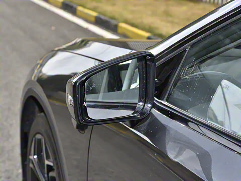 2025�� 230Max  �����Ǽ�AD PRO���̰�