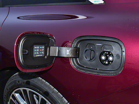 2024�� ���� Max ����������