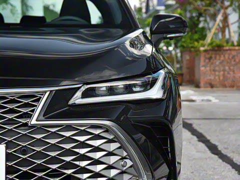 2024�� ˫�� 2.5L XLE����