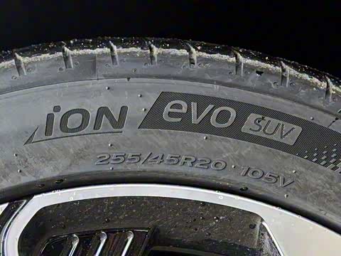 2024�� ������������