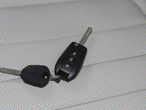 2025�� 2.0L CNG�߼�Ӫ�˺����� 9��