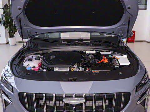 2024�� �ͻ� 1.5TD �ǺӰ�