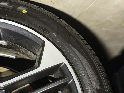 2025�� 520�����״��