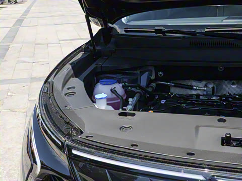 2024�� 1.6T ɽ��� 5��