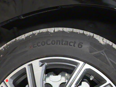 2024�� ���� ��������ɭ�ְ� ����