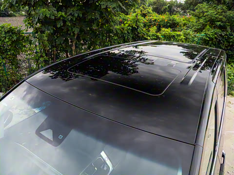 2024�� ���� ��������ɭ�ְ� ����