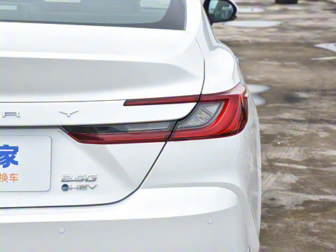 2024�� ˫�� 2.5HG ����