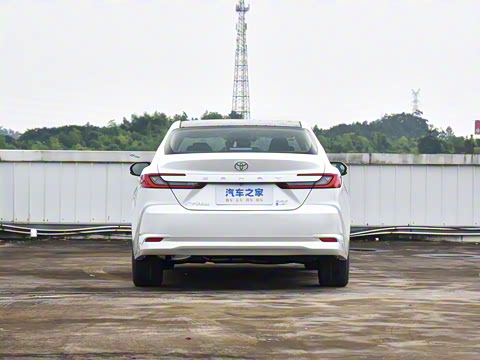 2024�� ˫�� 2.5HG ����