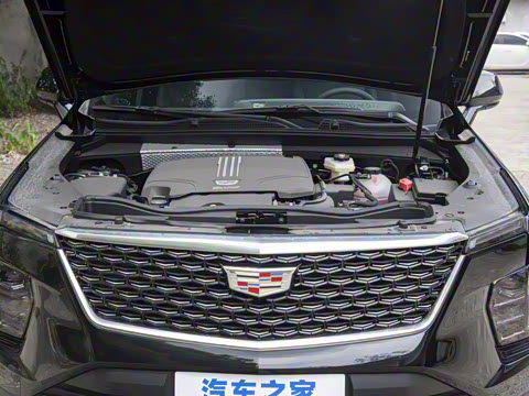 2024�� 25T ����������