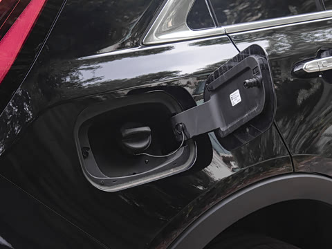 2024�� 25T ����������