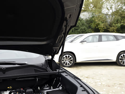 2024�� ������ �ھ��� 2.0T �Ǽݾ�����