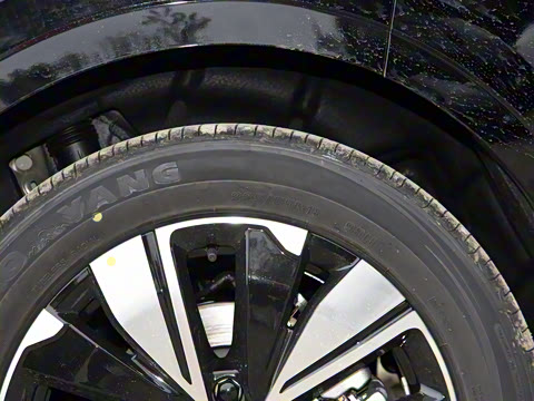 2025�� ���� ����� 230 ������