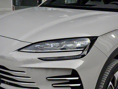 2025�� DM-i 75KM ������