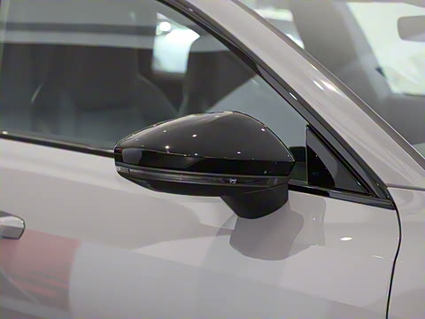 2024�� 2.9 TFSI quattro