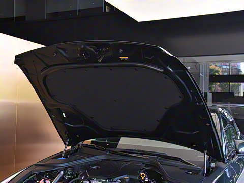 2024�� 2.5T ����������