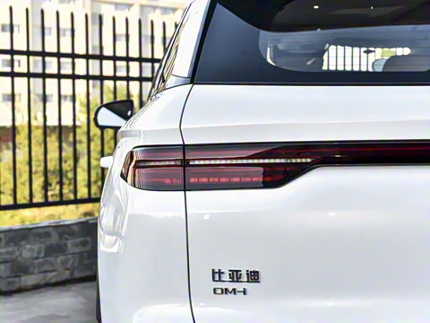 2025�� �ڶ��� DM-i 115KM��Խ��