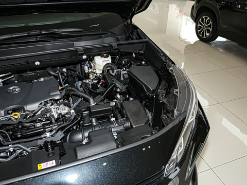 2024�� ˫�� 2.5L E-CVT��������