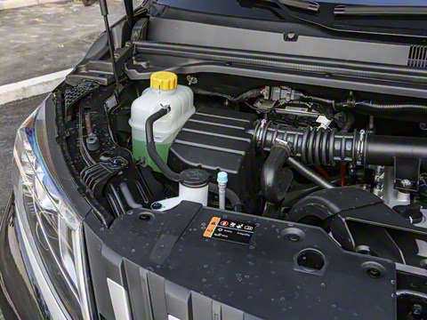 2025�� 2.0L �ֶ���������� 7��