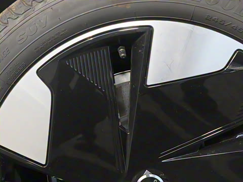 2025�� ������������ Plus