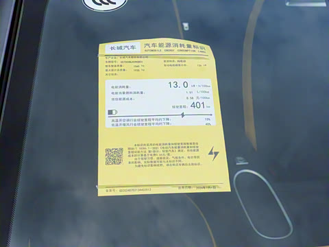 2024�� ľ���� 401km ������ 126kW