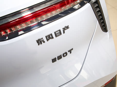 2024�� 260T ����ϲ���� Pro