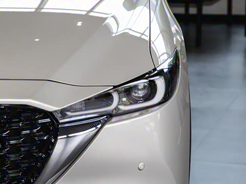 2024�� 2.0L �Զ�����������