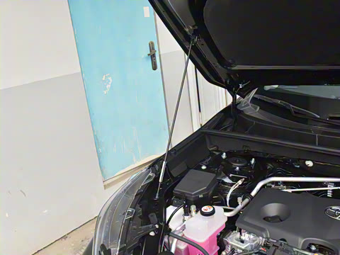 2024�� ˫�� 2.5L E-CVT��������PLUS��