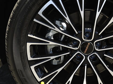 2025�� 300T ������ҫ��