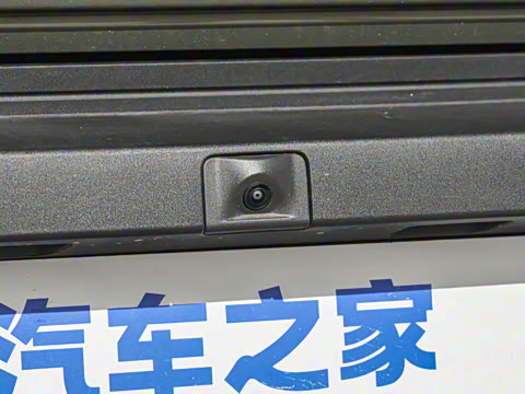 2025�� 501���������