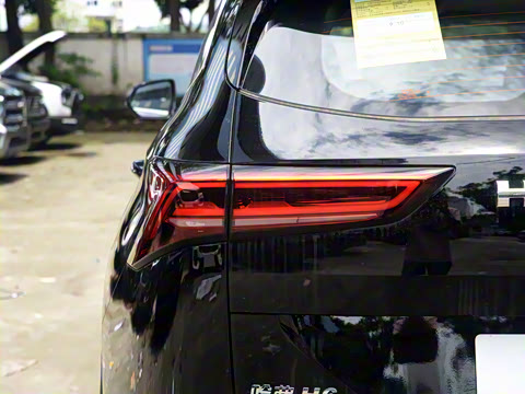 2024�� 2.0T ����Max