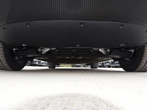 2025�� Max �����