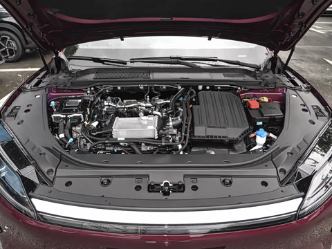 2025�� 260������������