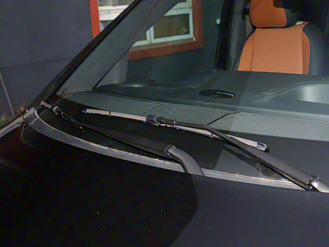 2025�� �������Ȱ�