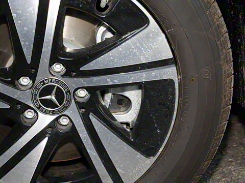 2025�� �������Ȱ�