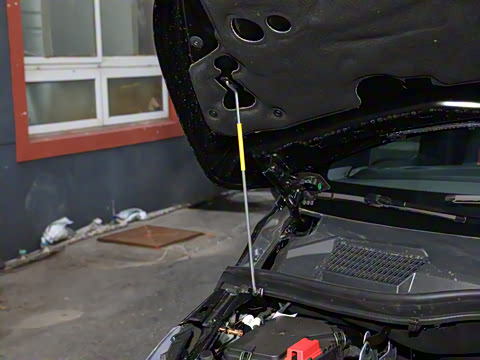 2025�� �������Ȱ�