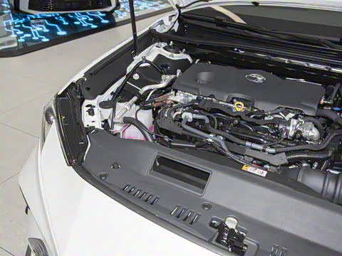 2024�� ˫�� 2.5HXS �˶�Plus��