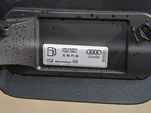 2024�� 40 TFSI quattro RS�׼�ȼ����