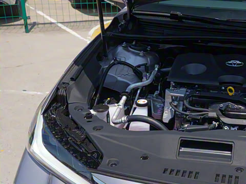 2024�� ˫�� 2.0L ������