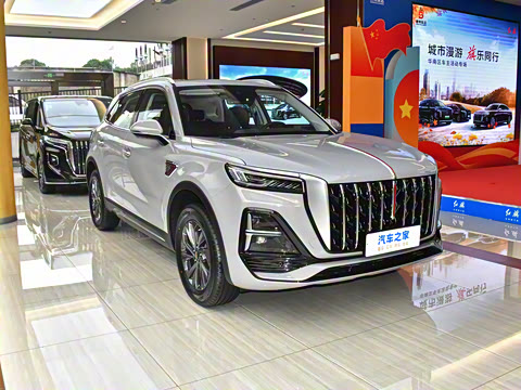 2025�� 2.0T ��������Pro��