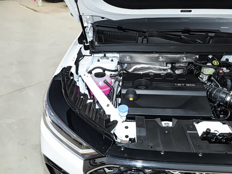 2025�� 290TGDI DCT�˷�� 