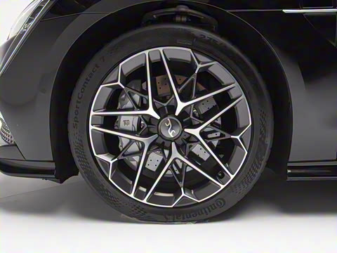 2025�� EV ����������