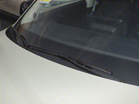 2026�� �鶯��������