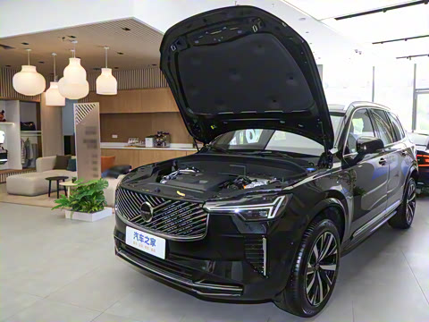 2025�� �Ŀ� T8 ��Զ������ 7��