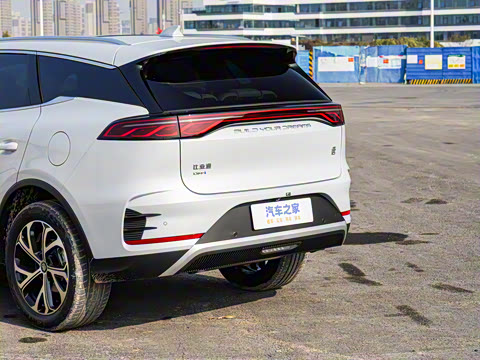 2025�� DM-i 115KM �����